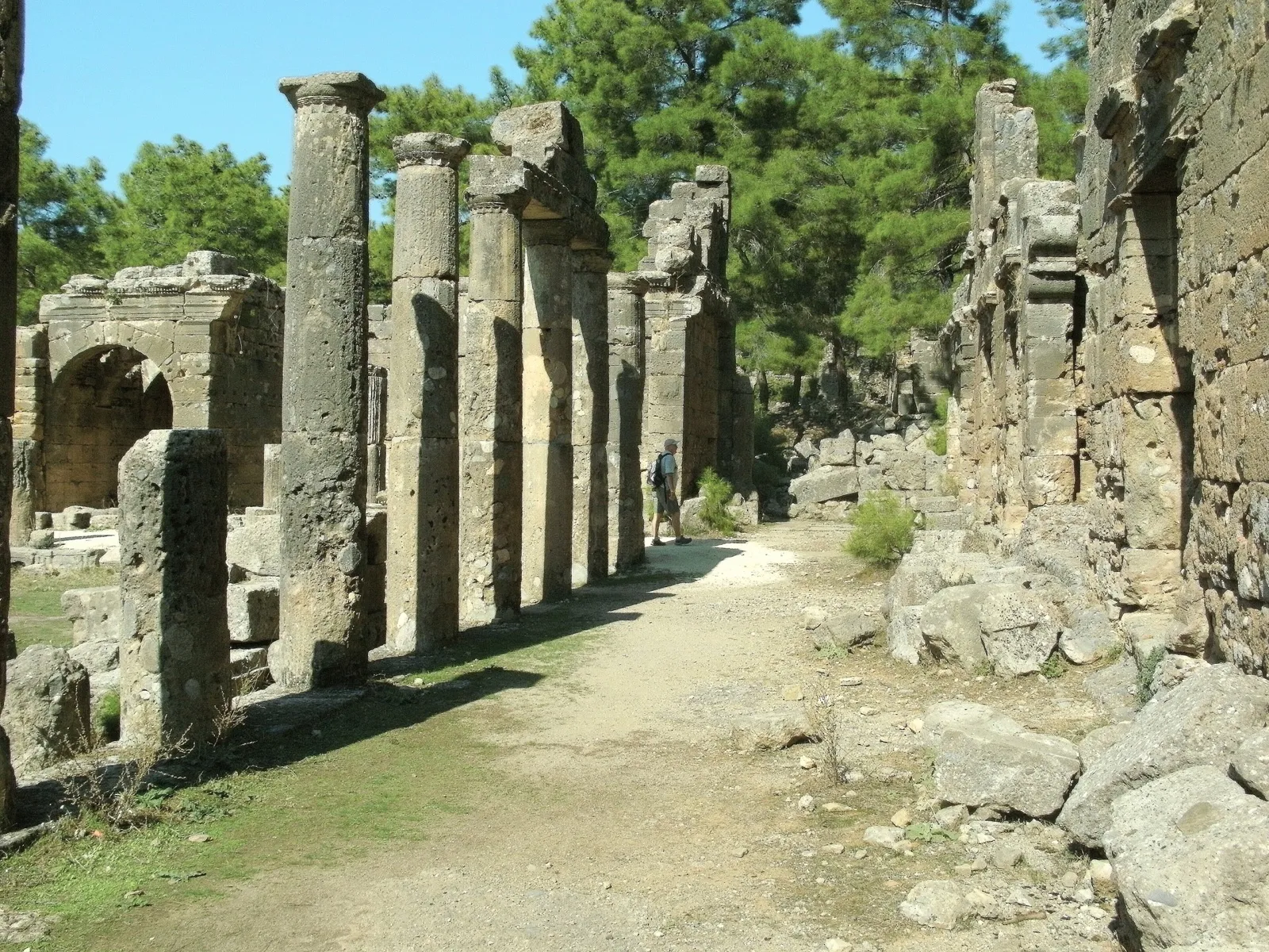Standing columns of the agora colonnade at Seleukeia among pine trees